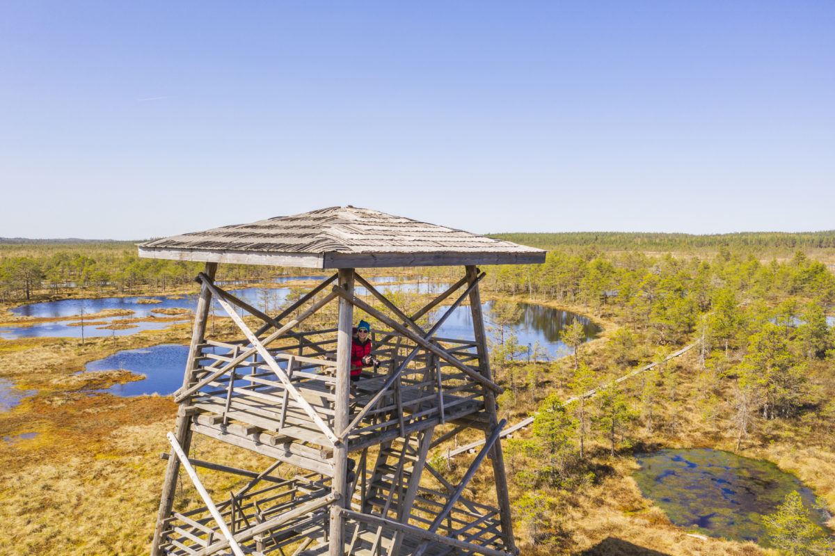 ©A. Teede. Kõnnu Suursoos asuvast vaatetornist näeme kõrgelt ilusat Eesti maastikku