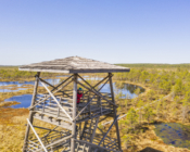 ©A. Teede. Kõnnu Suursoos asuvast vaatetornist näeme kõrgelt ilusat Eesti maastikku