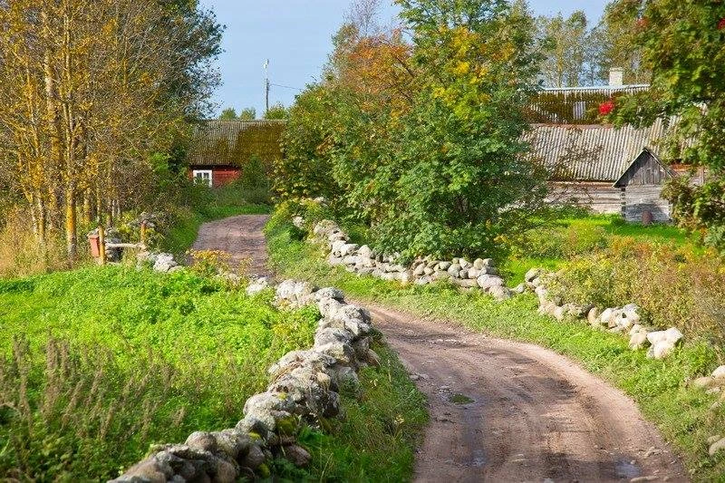 Sügisene prangli, külatee looklevalt kiviaedade vahel.