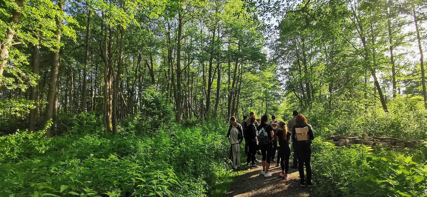 prangli_kiviaiad_HassoHirvesoo